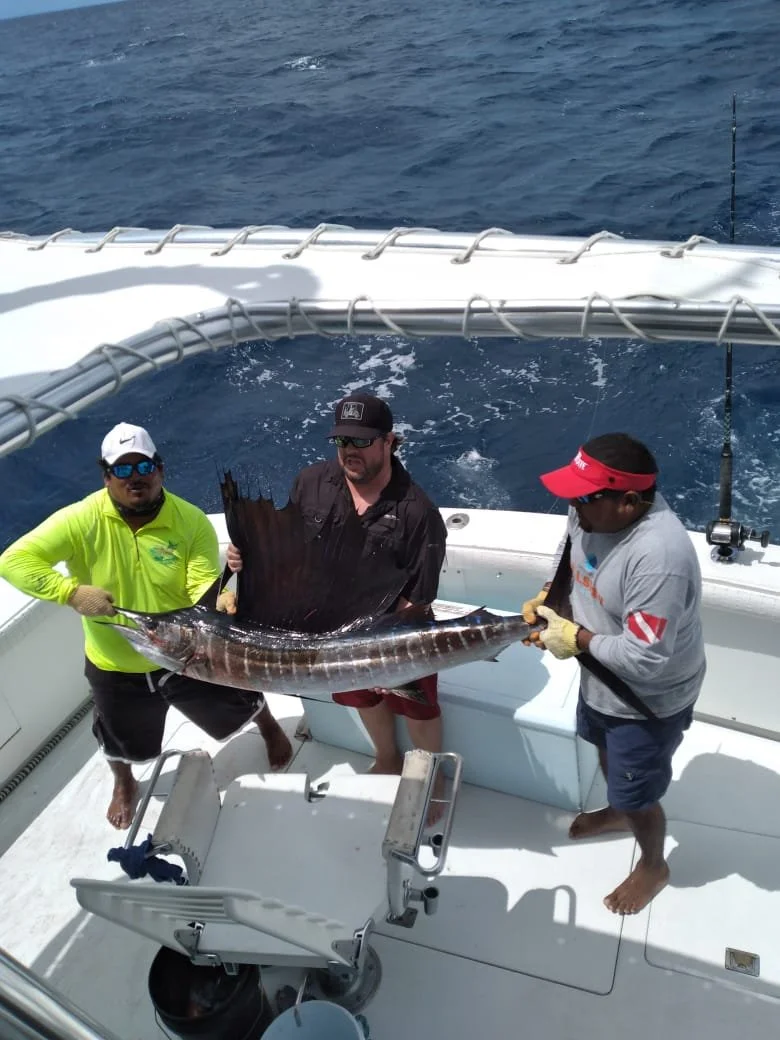 WhatsApp Image 2021-10-29 at 11.41.08 AM (1).jpeg