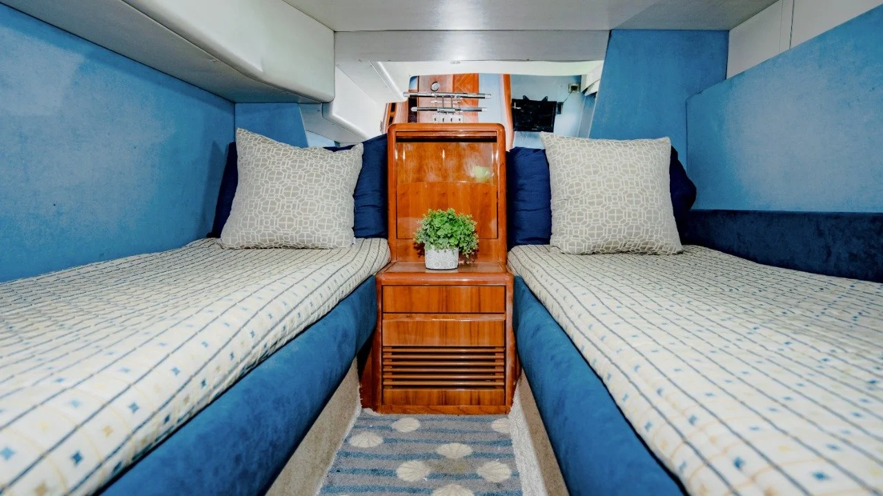 WhatsApp Image 2022-10-21 at 3.23.38 PM.jpeg