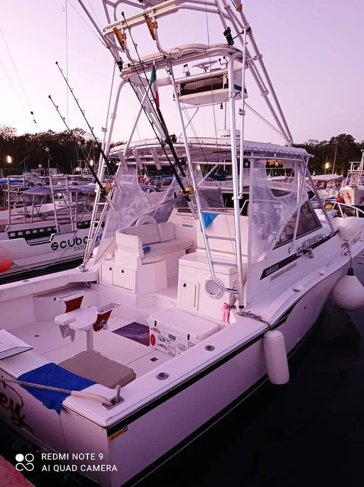 WhatsApp Image 2021-11-18 at 4.14.09 PM (2).jpeg