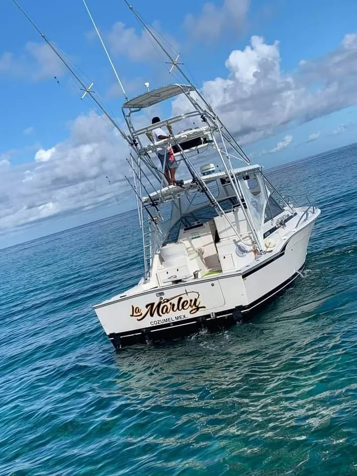 WhatsApp Image 2021-11-18 at 4.14.08 PM (2).jpeg