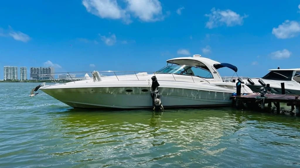 WhatsApp Image 2024-10-09 at 17.19.45.jpeg