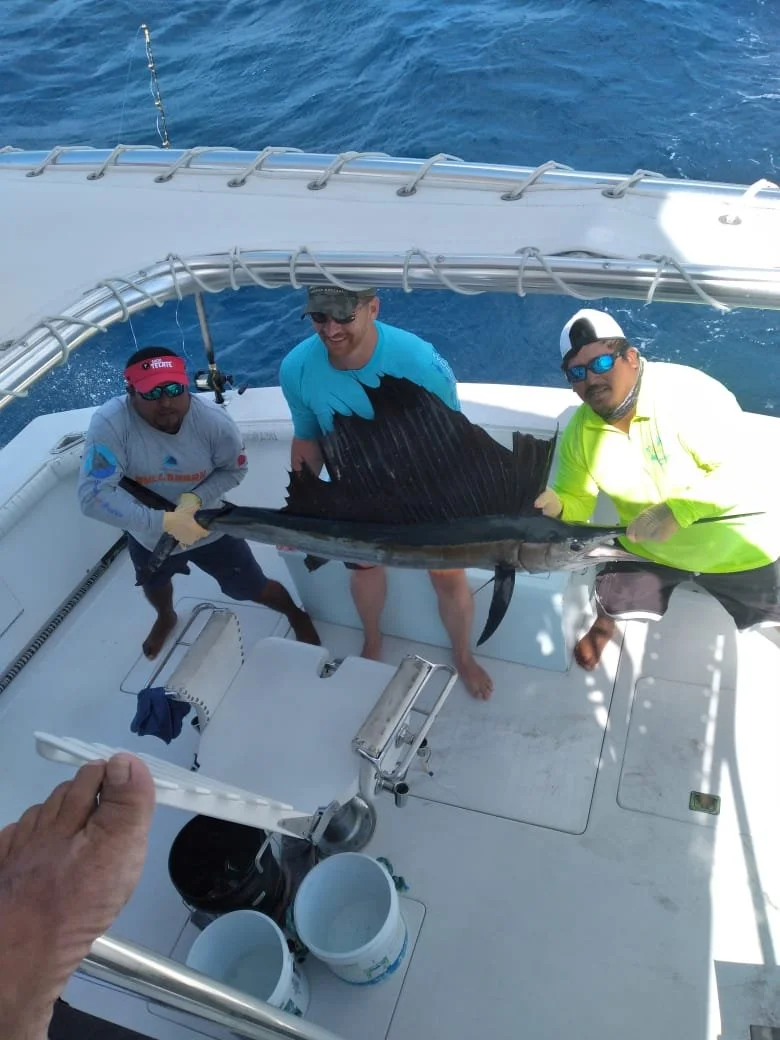 WhatsApp Image 2021-10-29 at 11.41.08 AM.jpeg