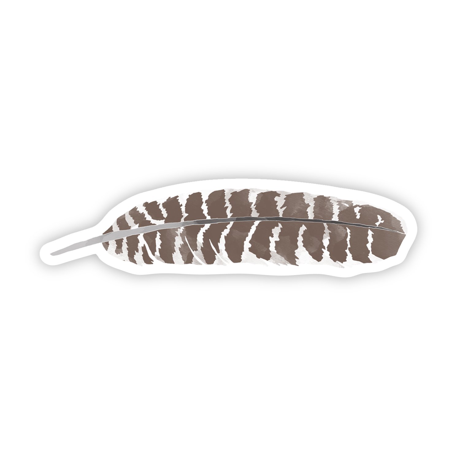 PWS021_Turkey Feather.jpg