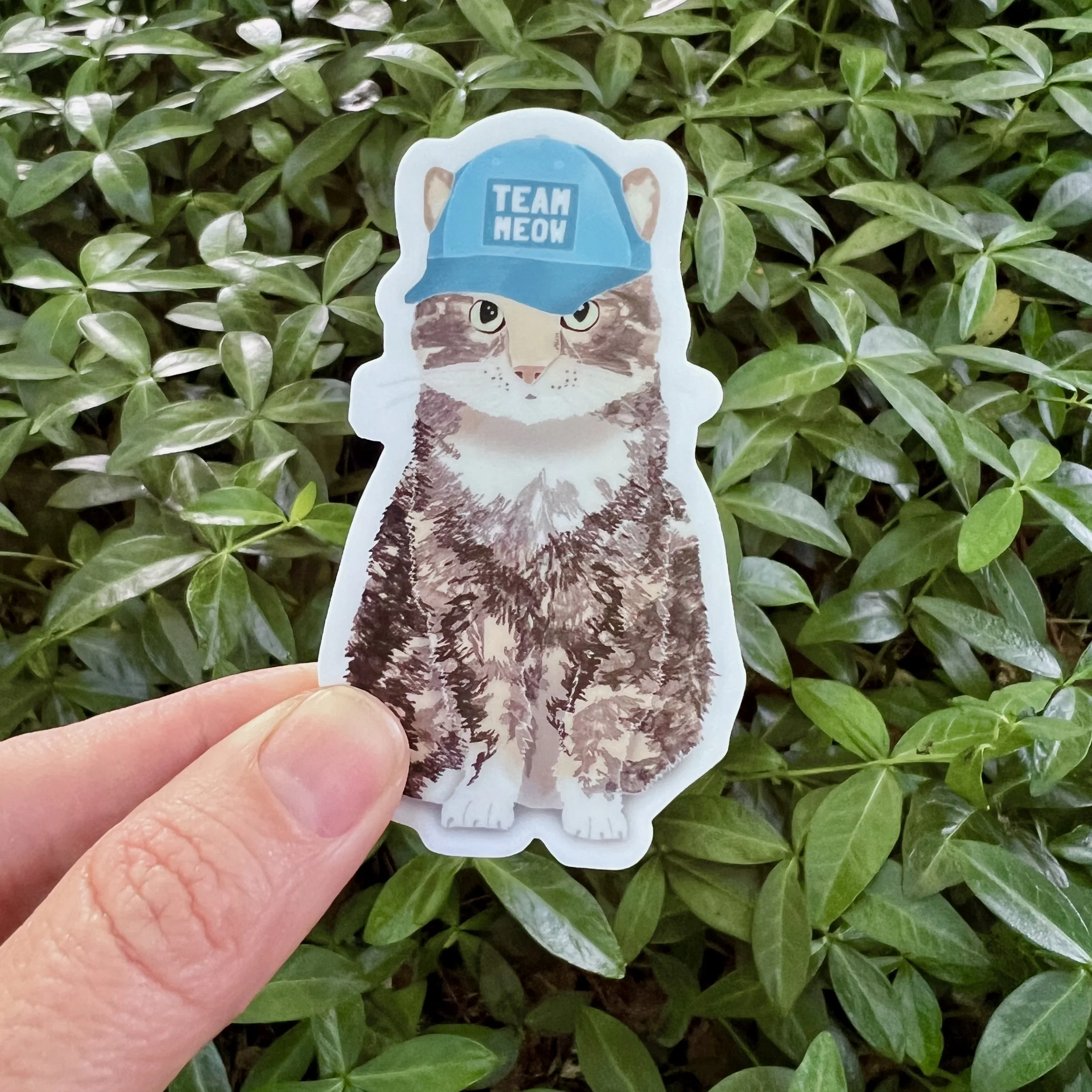 Meow-Sticker-3.jpeg