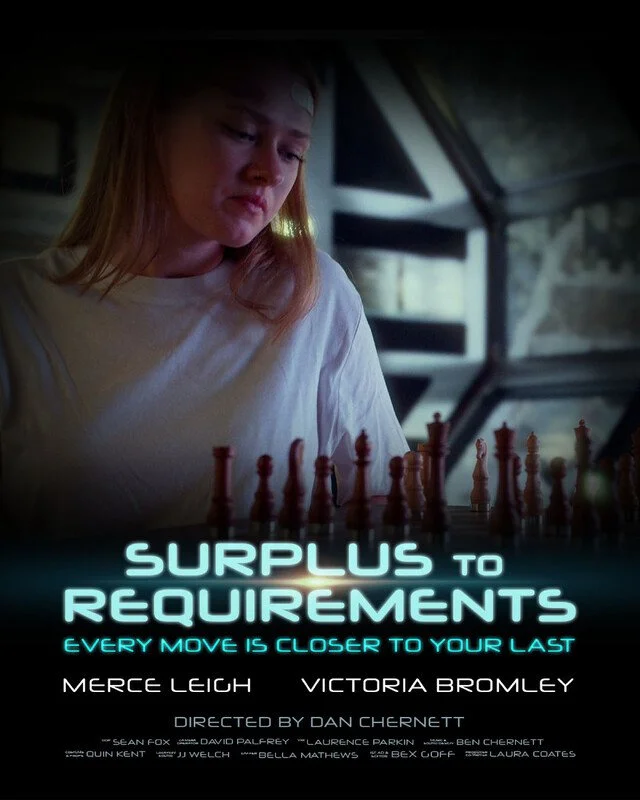 A young woman playing chess on the Surplus To Requirements poster