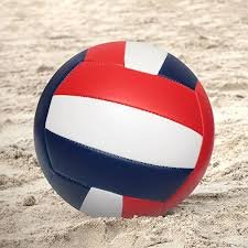 Volleyball and Cookout