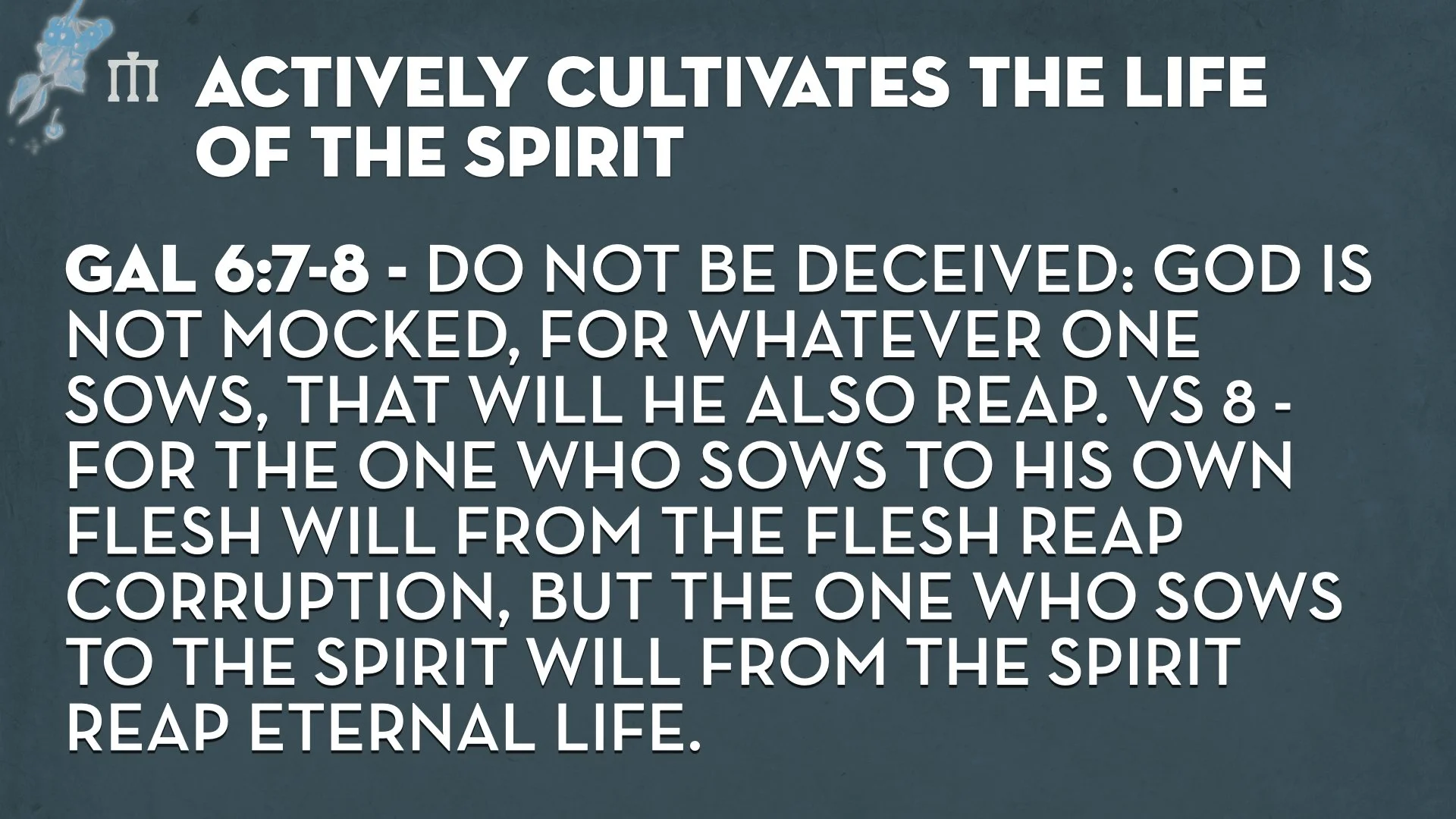 Galatians 6.6_10 WEB.011.jpeg
