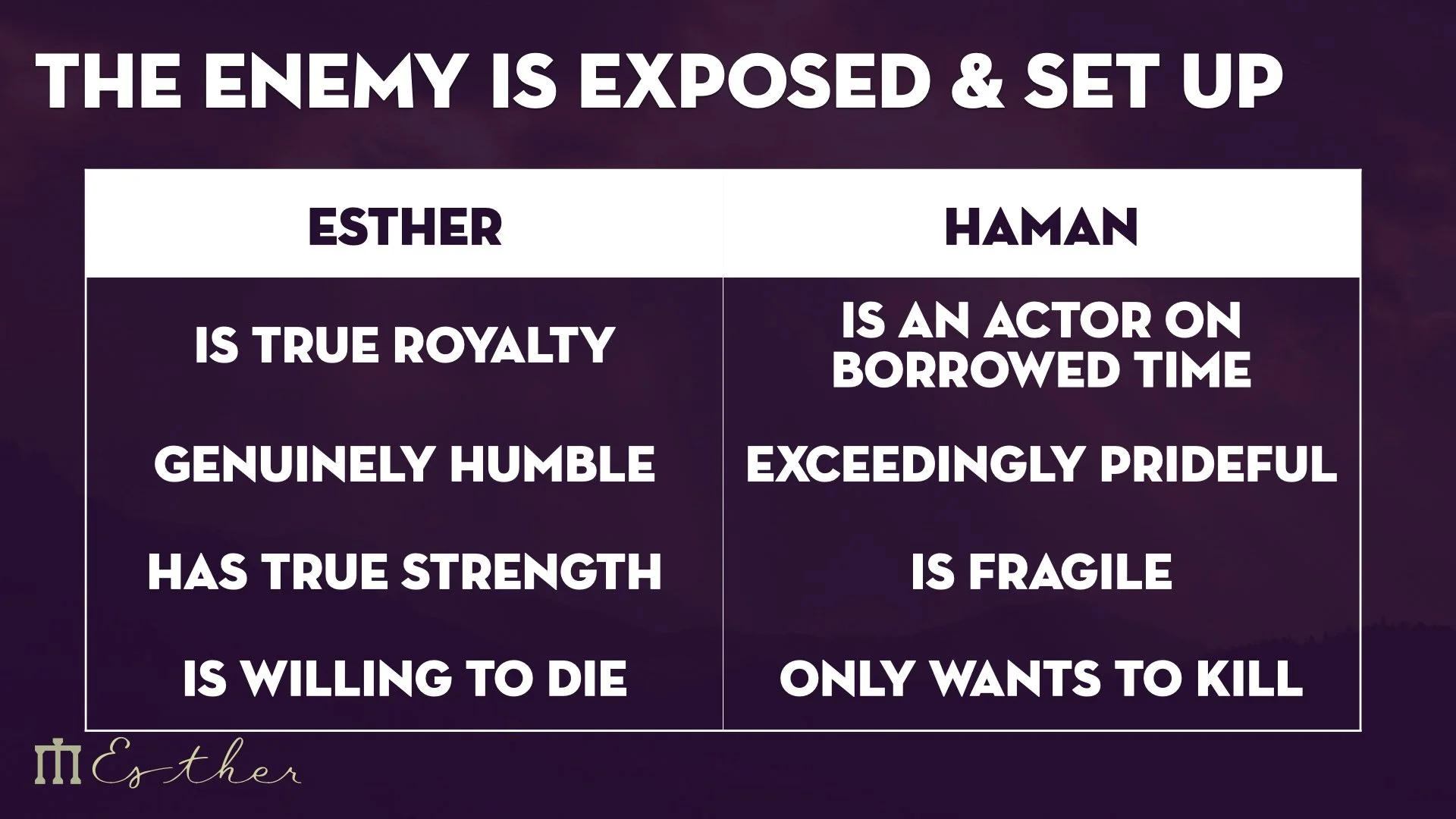 Esther 5 WEB.016.jpeg