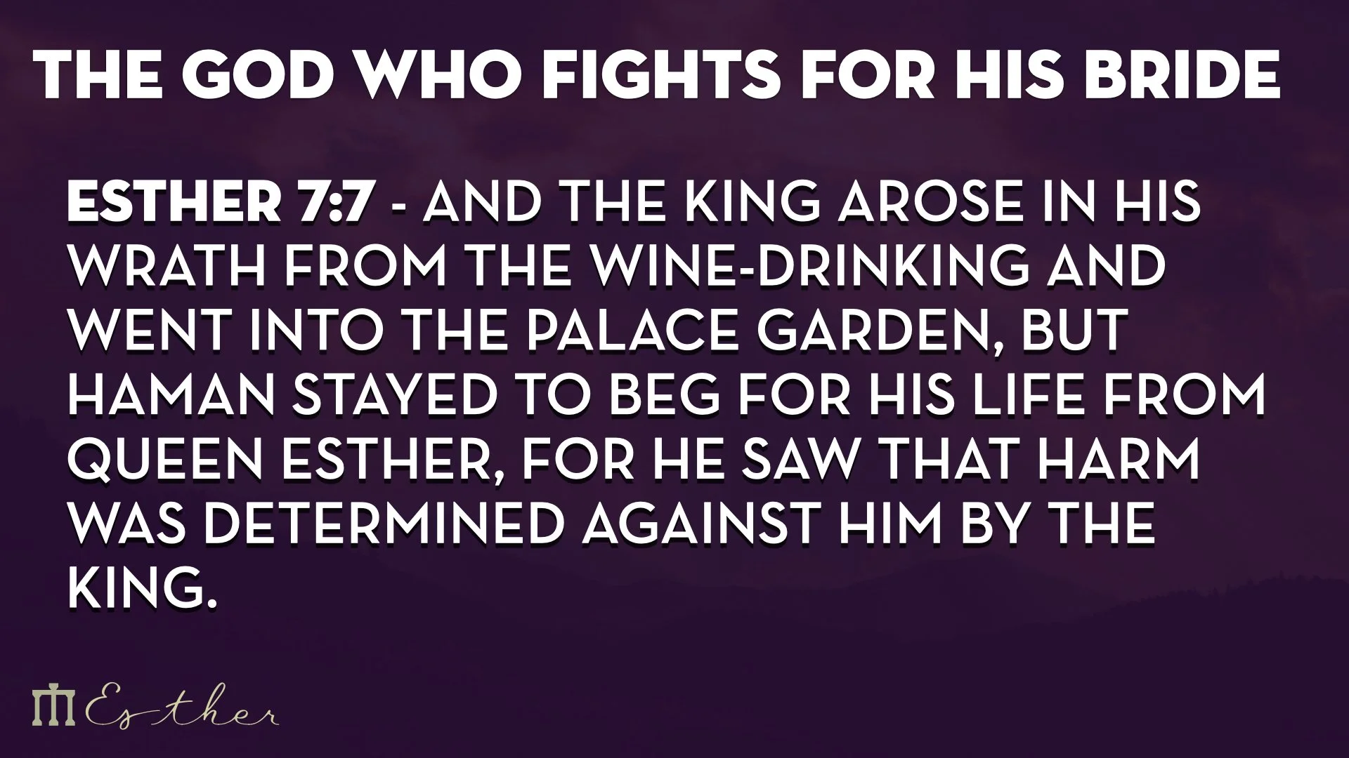 Esther 7 WEB.010.jpeg