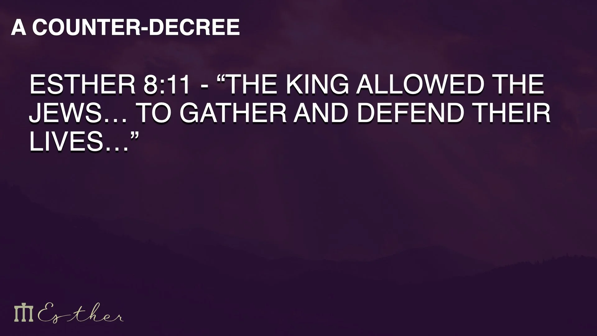 Esther 8images.013.jpeg
