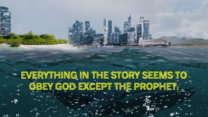 Slide6.jpeg