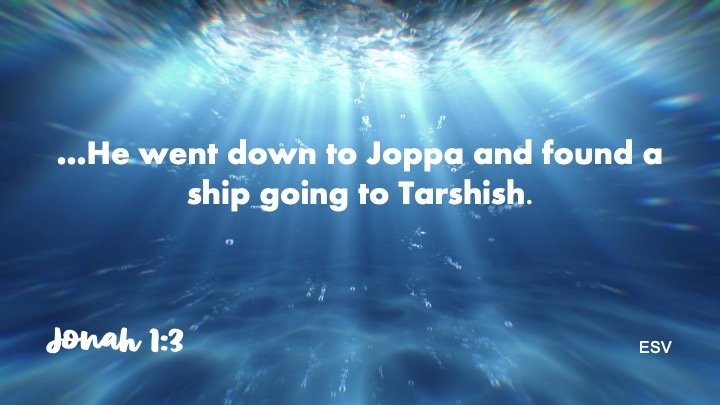 Slide31.jpeg