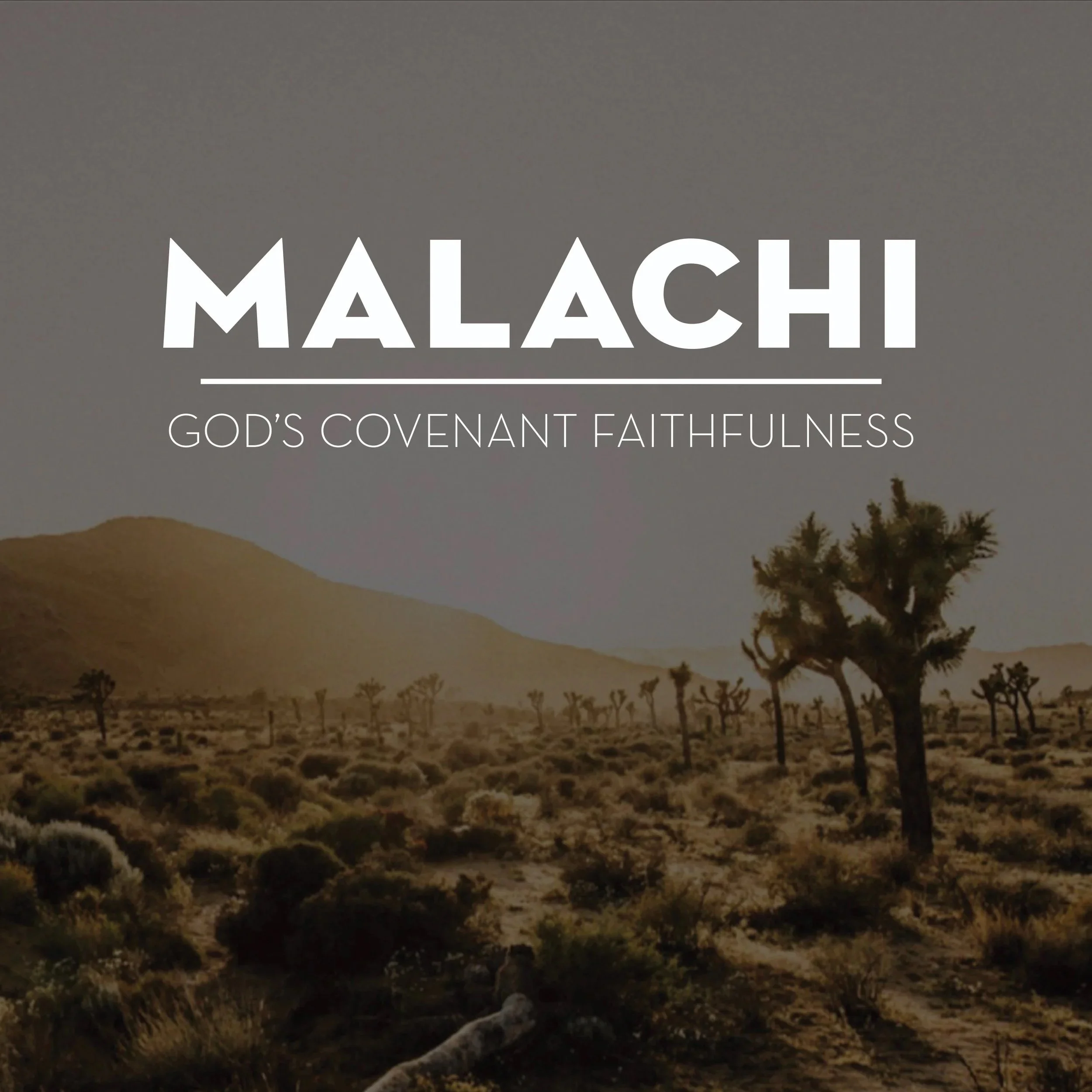 Malachi Cover Art.jpg