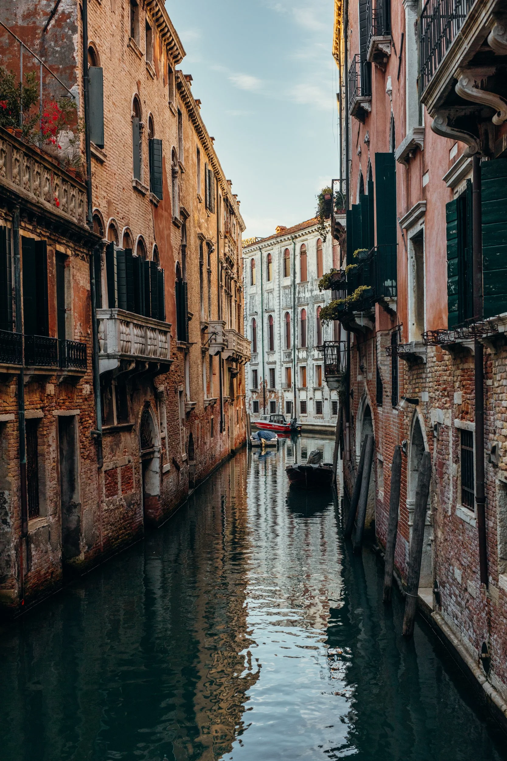 _34A7495 2.jpg