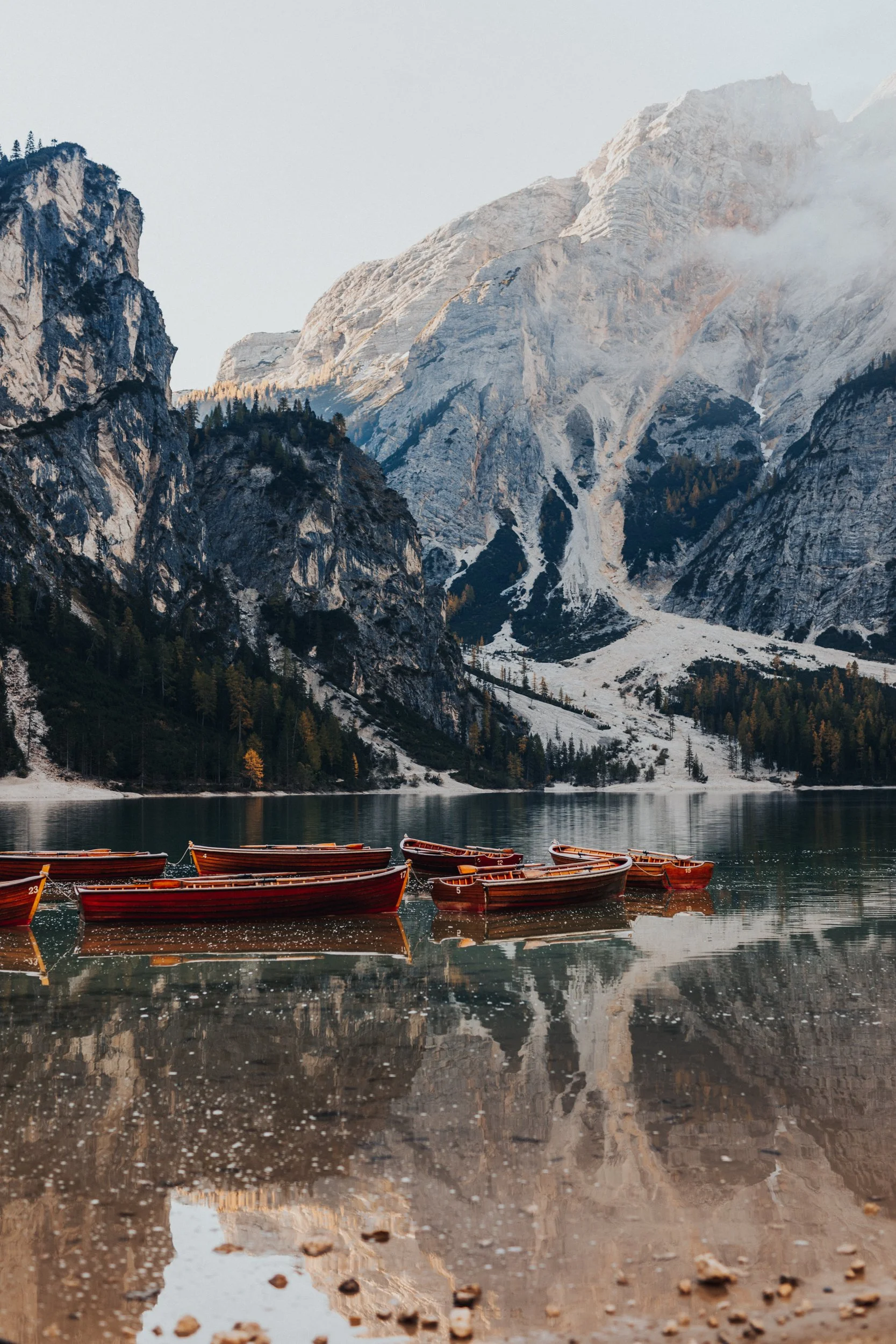 _34A7737 2.jpg