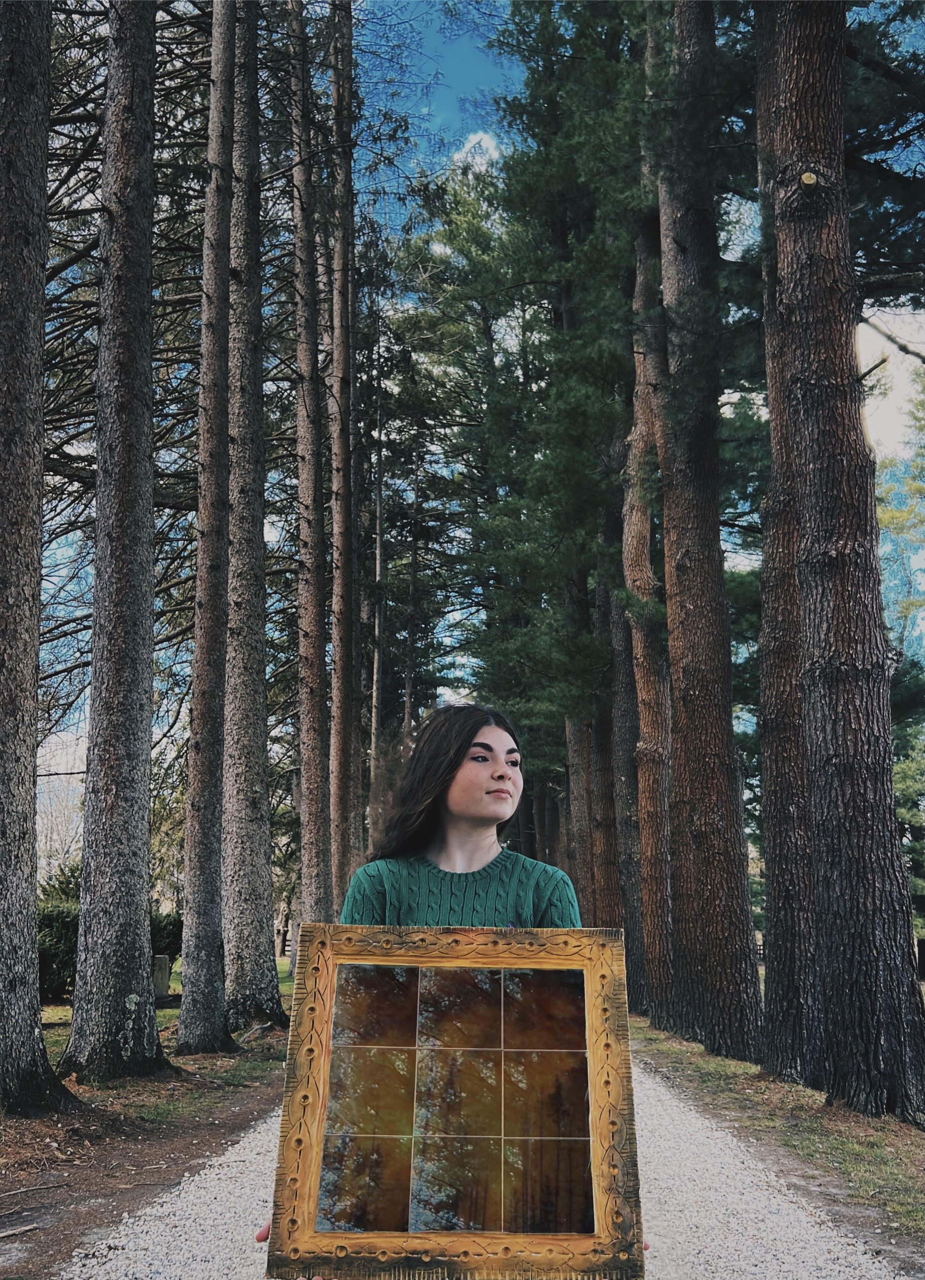 Yana Herzog's "Wild Reflections"