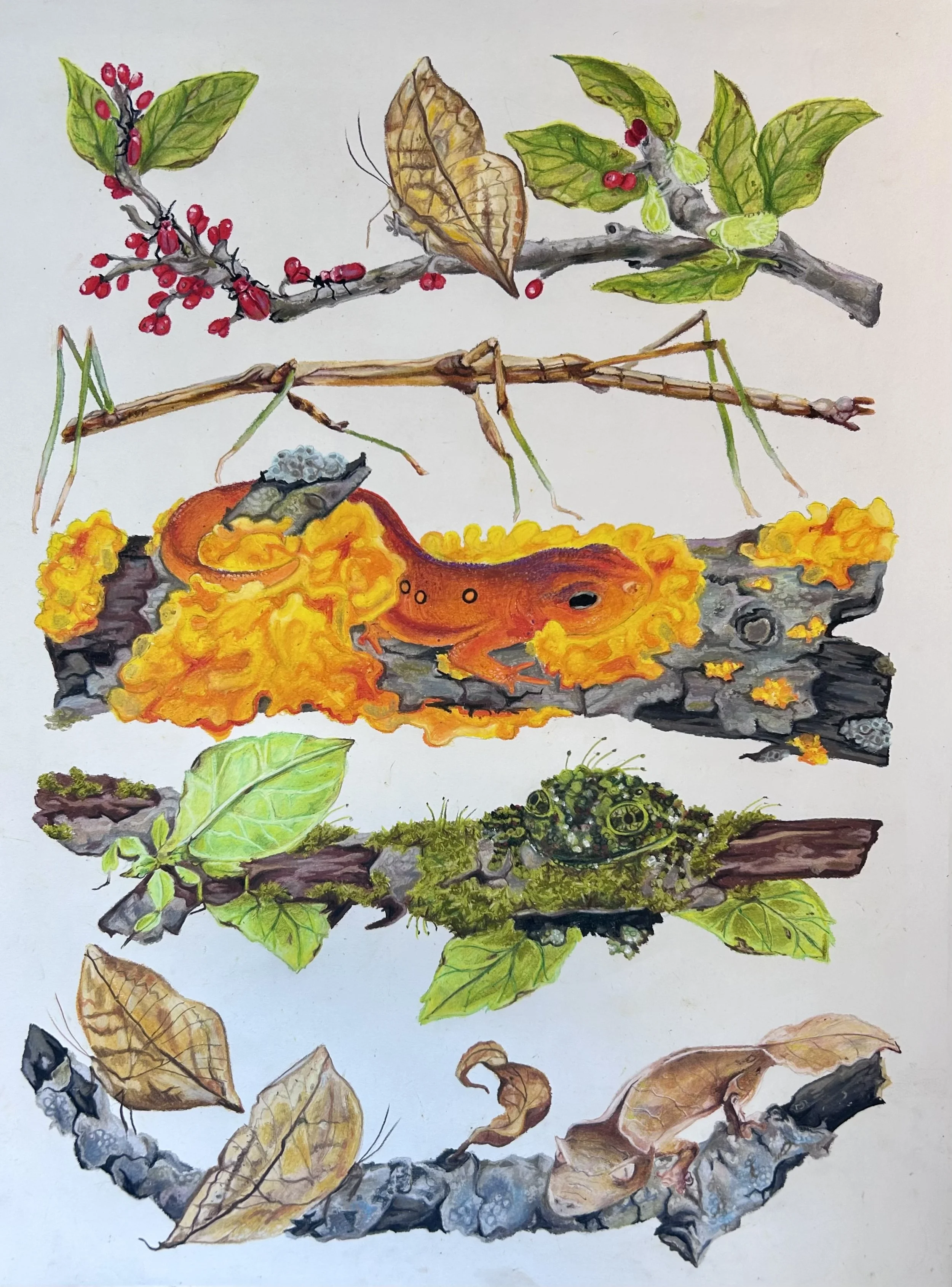 Nora Bosniak “Hidden in Plain Sight” – 2026 Winner