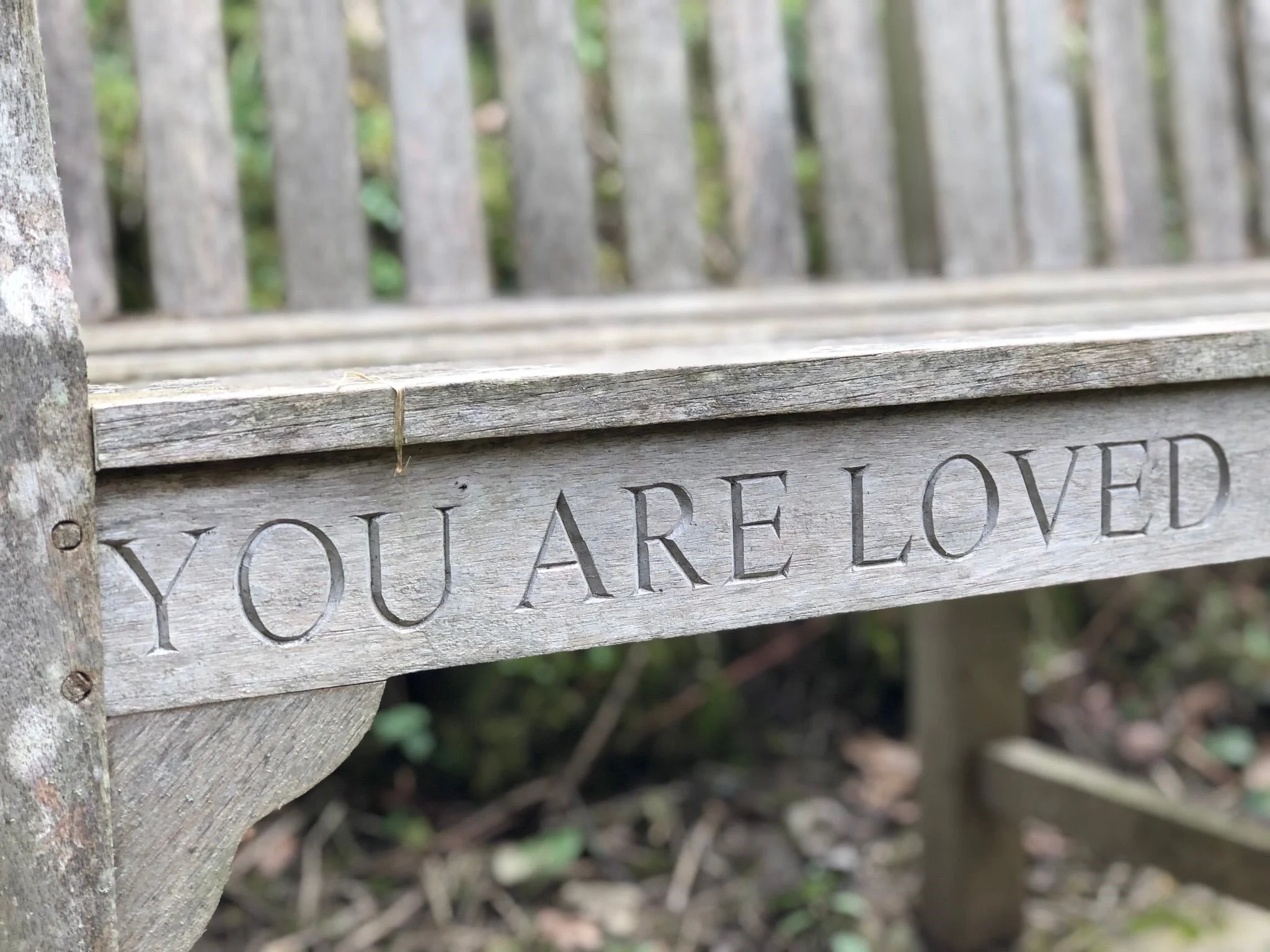 Lent Photography Walks