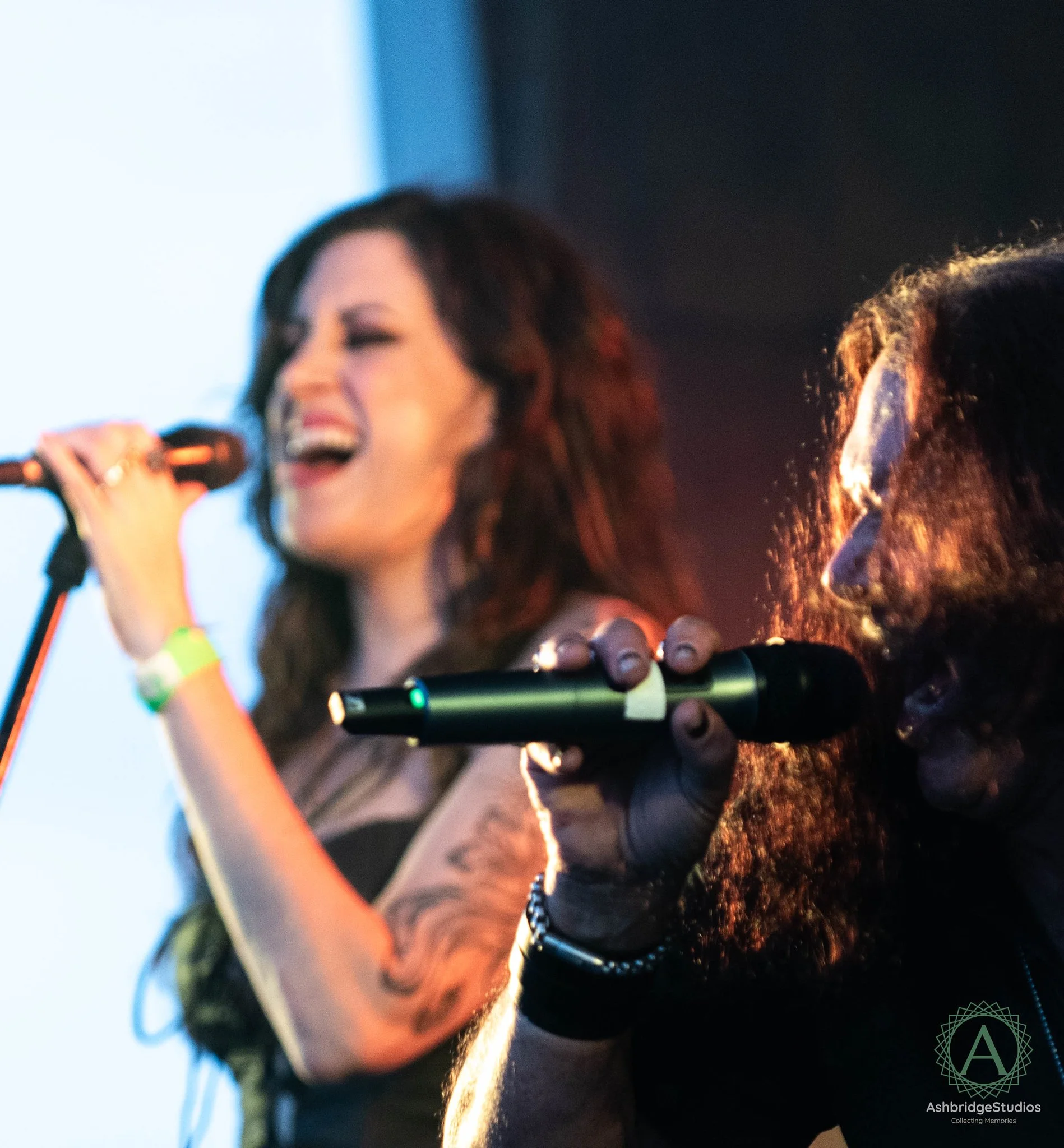 Photo by Carl Roccia