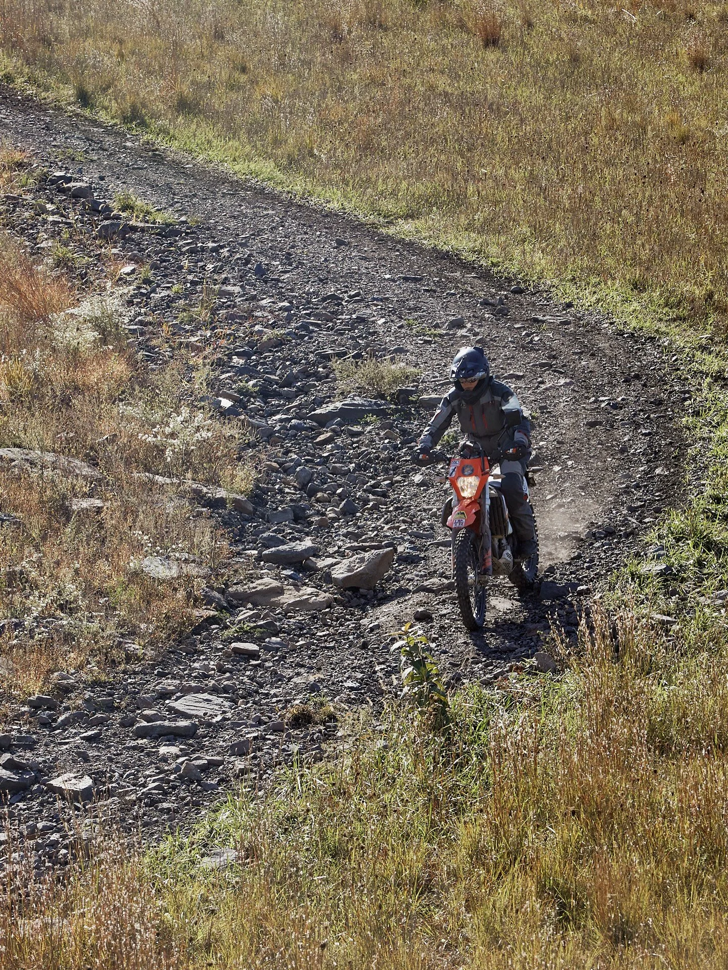 Have you ridden @famousreadingoutdoors lately? 🤔 Thanks to the amazing folks at FRO, we’re able to open up a pristine and super fun multi-thousand acre private property exclusively for our ladies-only riding events! 🤘
But, did you know they