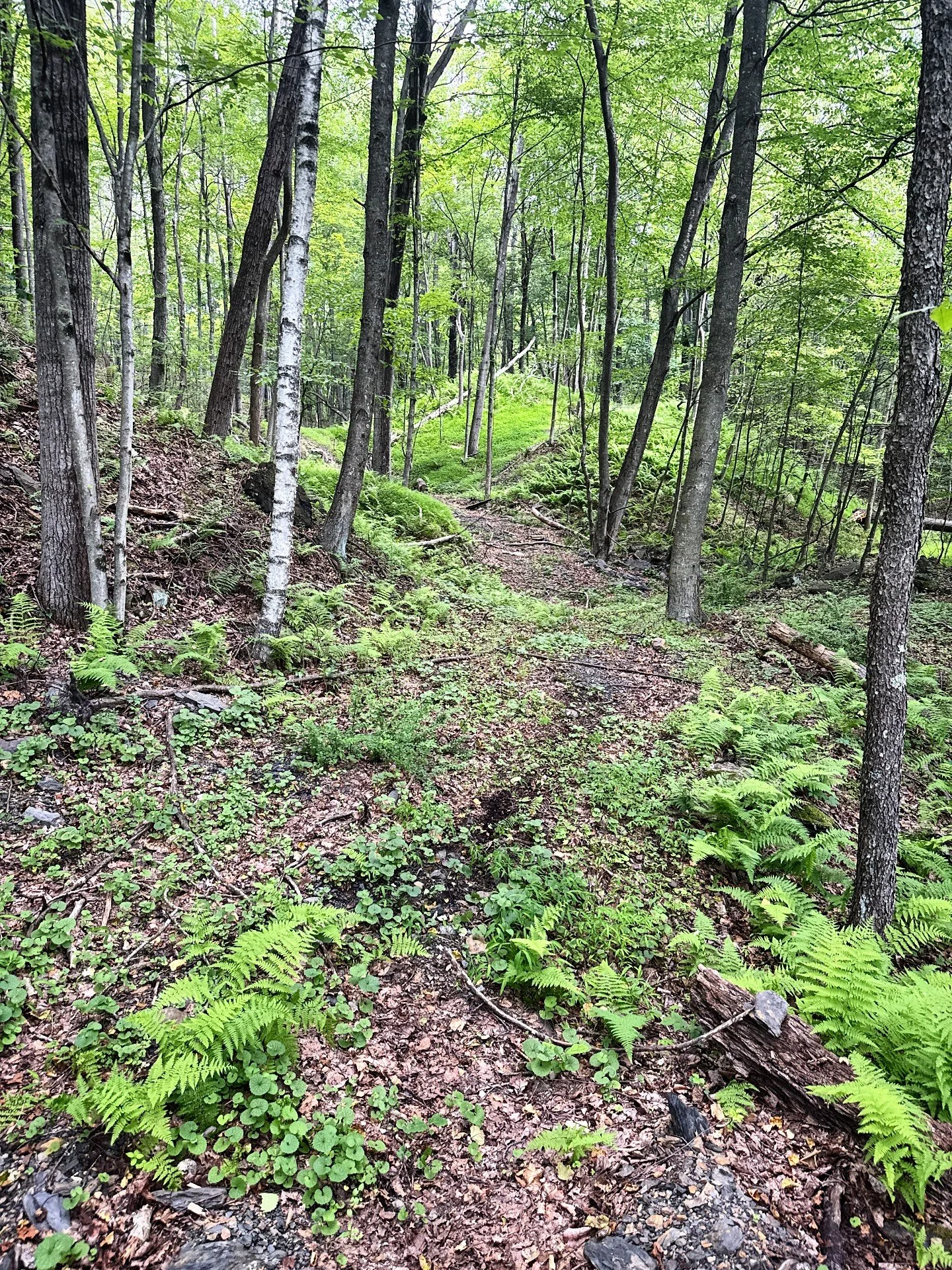 When we made new trails this year, we also eyed 👀 up some cool areas to make even MORE new trails in 2026! 🤙 Can&rsquo;t wait to go back to these spots and start building new adventures. ❤️&zwj;🔥