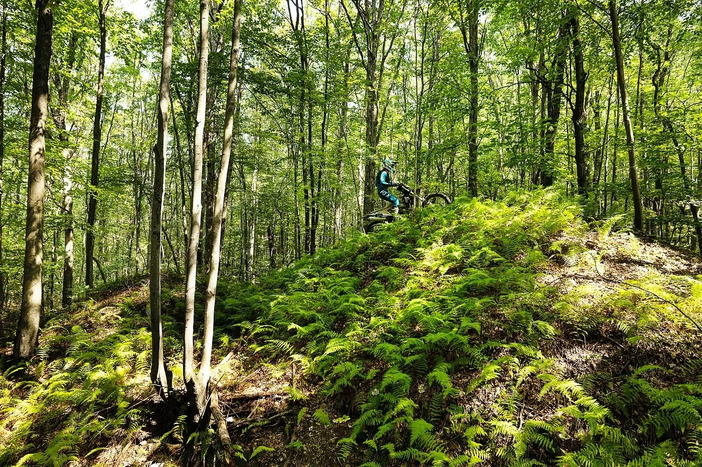 You&rsquo;re two wheels and a trail away from living your best life. 🌱✌️

📸: @rutsandroots for @overandoutmoto