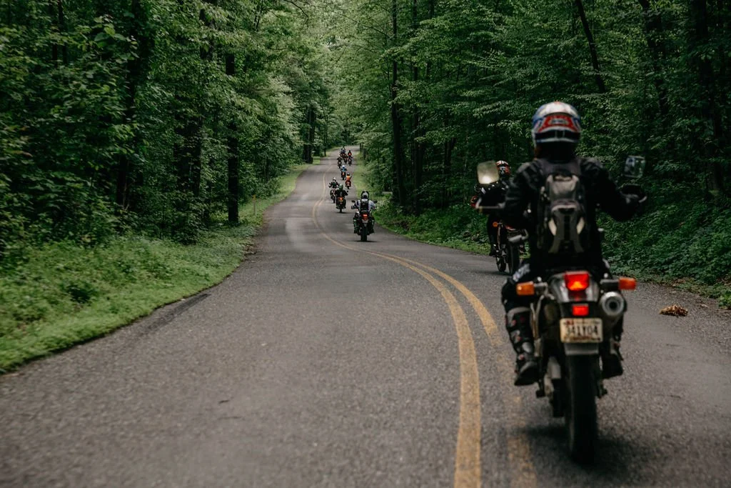 A group of motorcyclists riding on a winding forest road, surrounded by green trees.