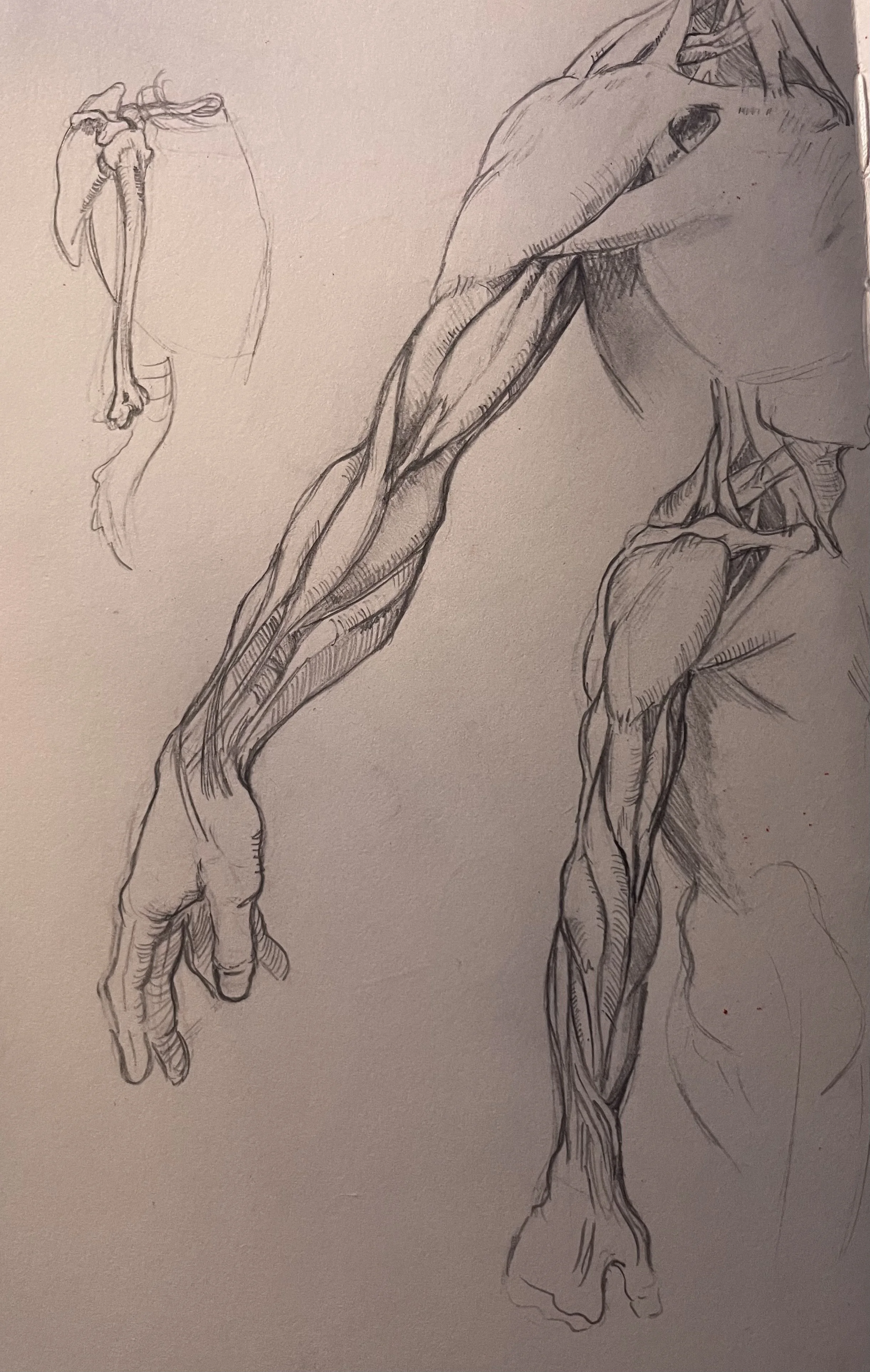 FullSizeRender 3.jpeg