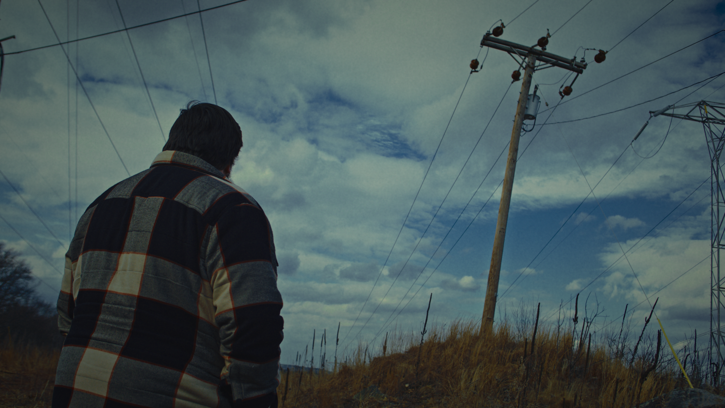 A person with dark hair wearing a checkered jacket looking at a utility pole with power lines against a cloudy sky.