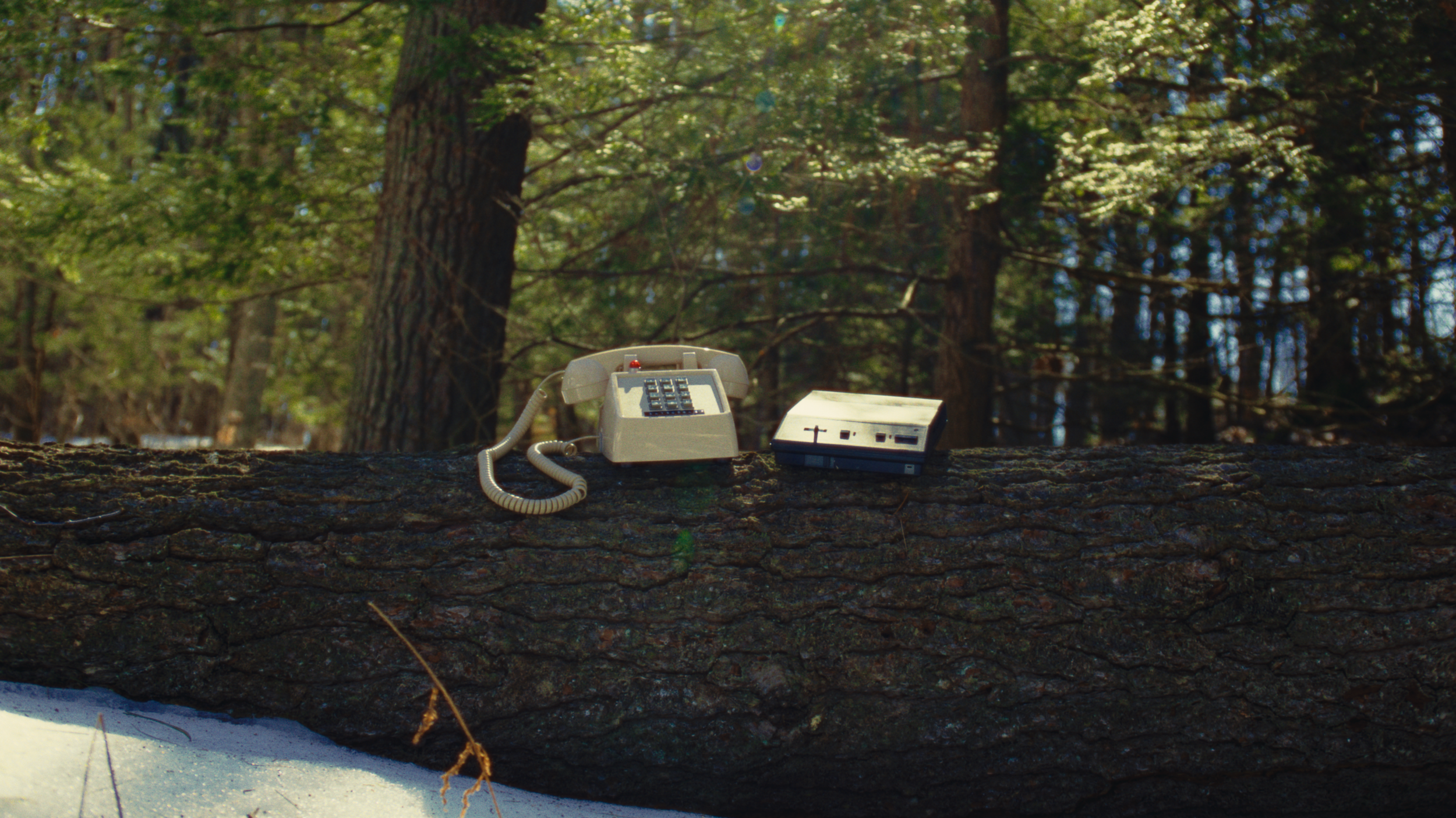 An old landline telephone beside a small electronic device resting on a fallen tree trunk in a forest with tall trees and bright green leaves.