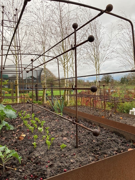 vegetable cage