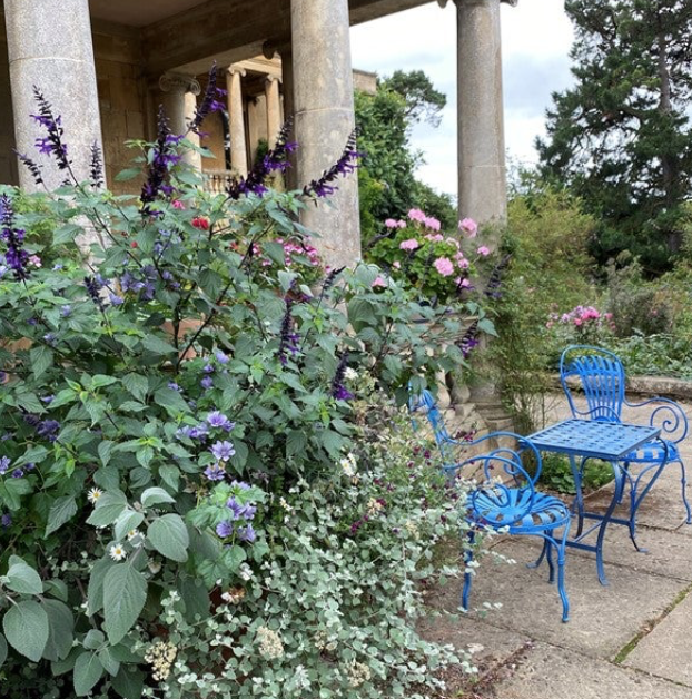 A stunning display in a planter sets off the brightly painted garden furniture.