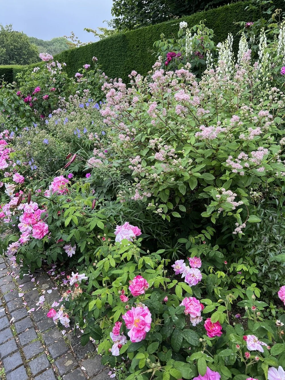 Beautifully subtle planting in one of the borders at Bourton Manor Gardens
