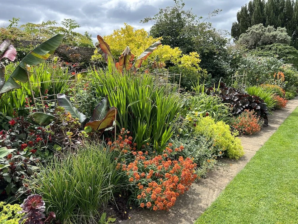 The hot border at Bourton Manor Gardens shows how effective massed hot colours can be with the inclusion of greens to rest the eye