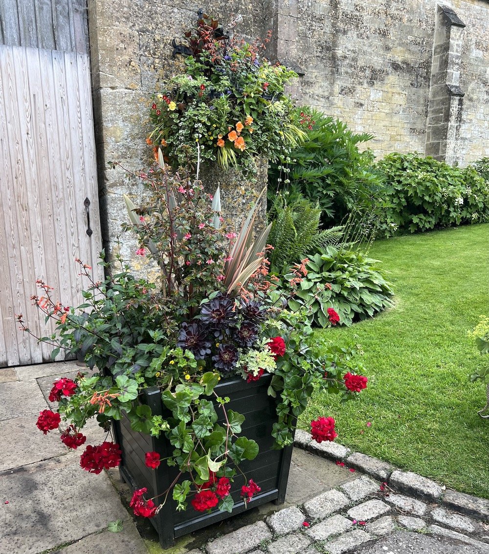 Hot colours at Bourton House Garden