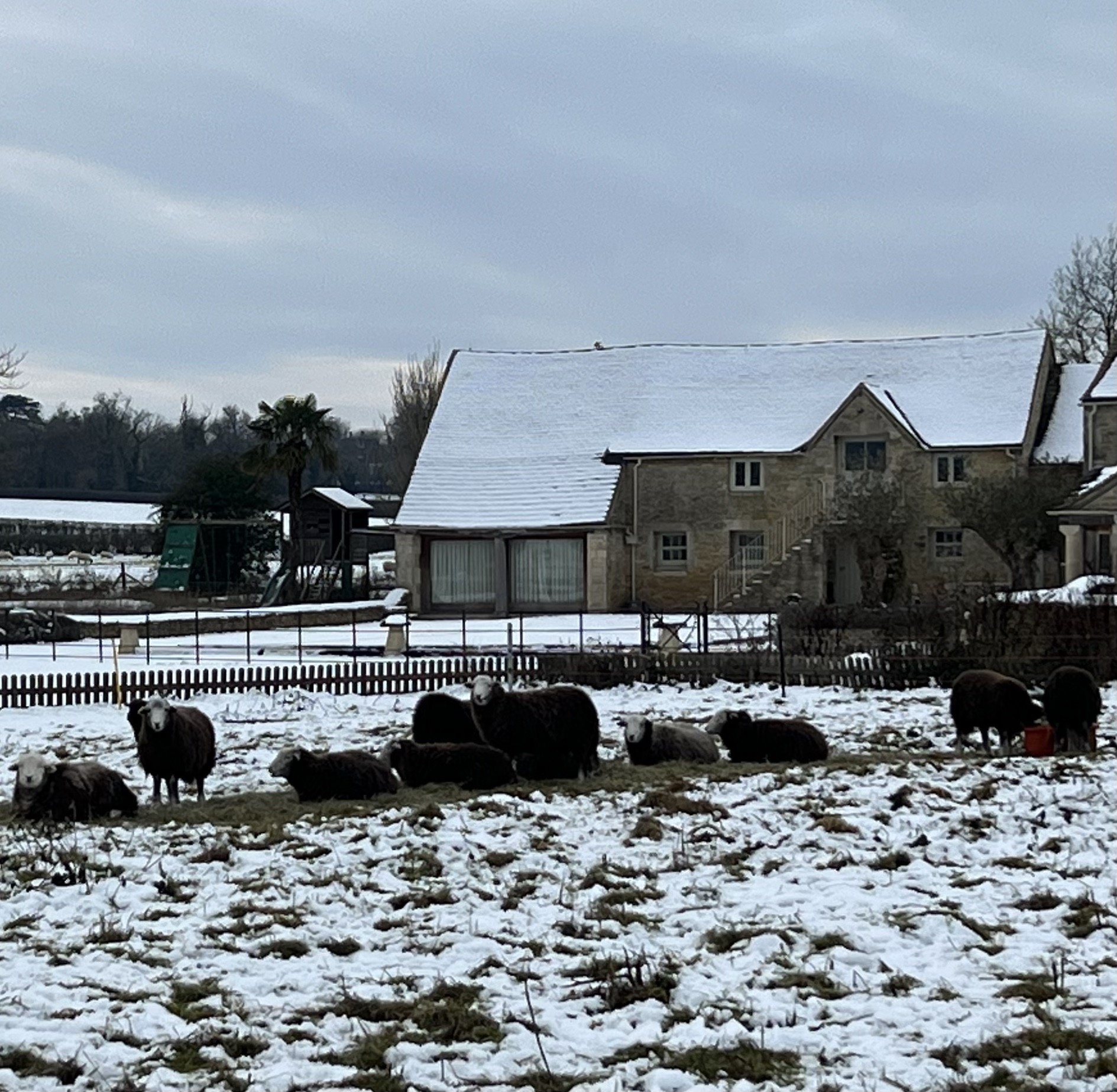 ‘The girls’ seem content in a frozen landscape