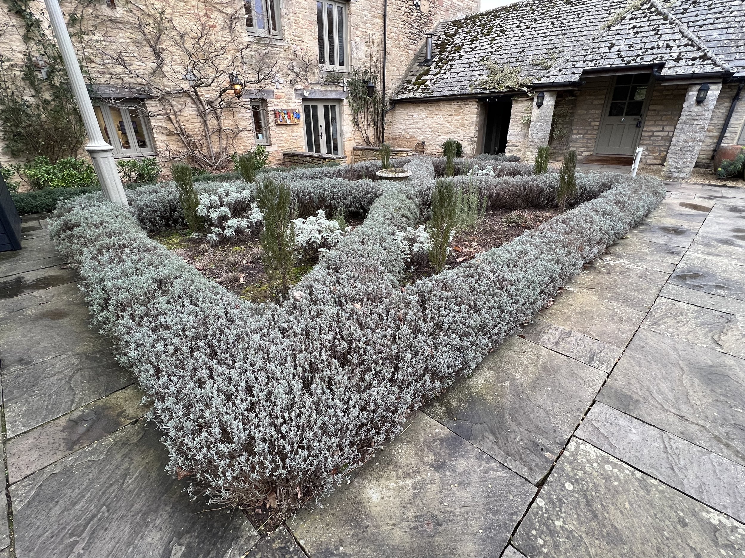 Silver and green foliage make an attractive winter bed