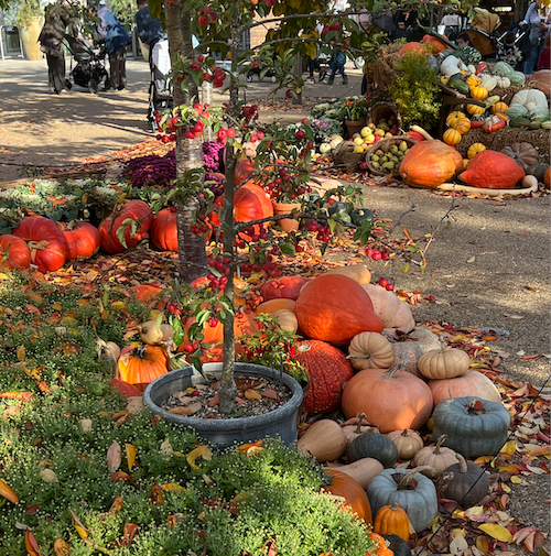 RHS Wisley entrance decorated with pumpkins and squashes