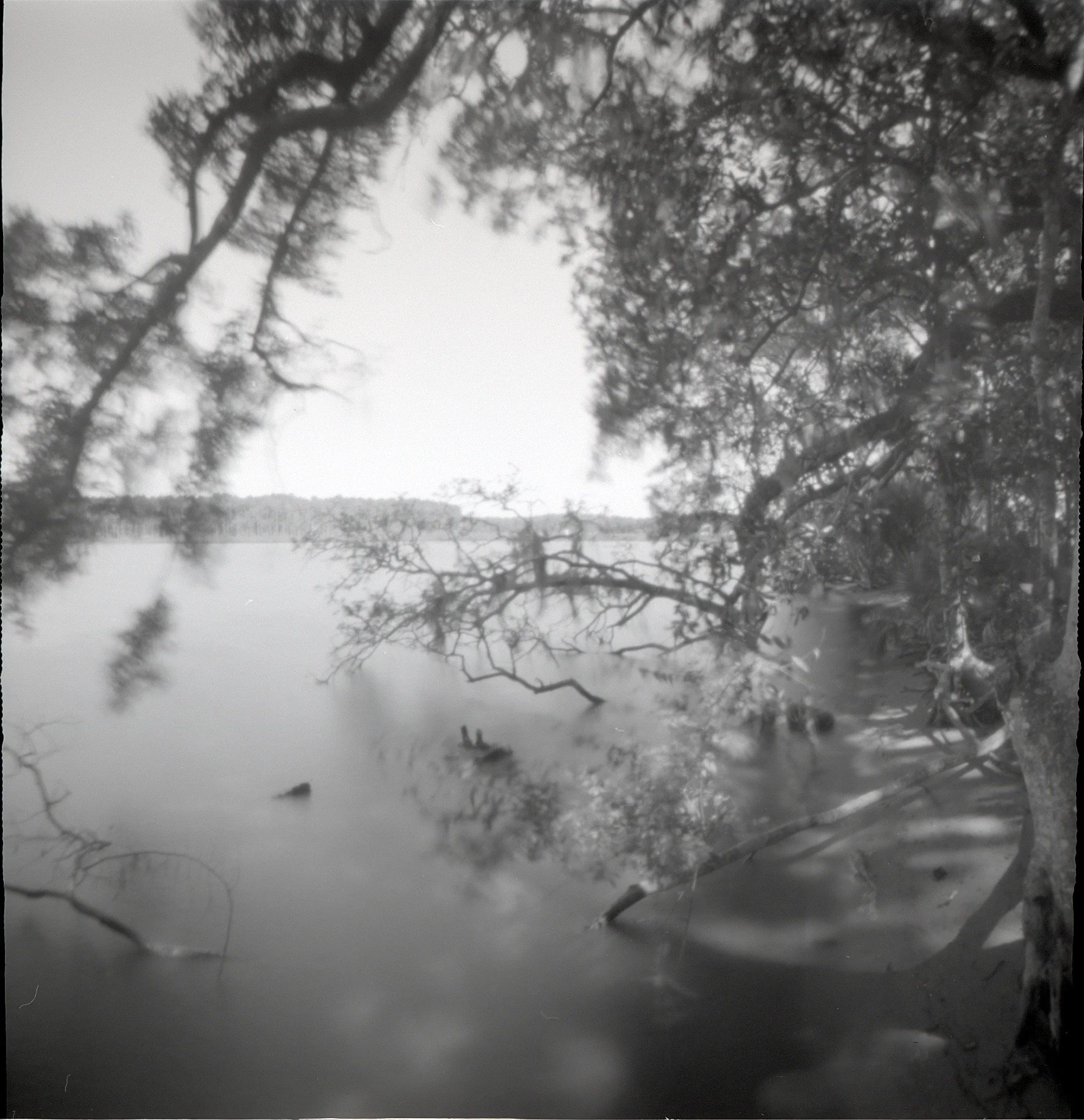 Waters Edge