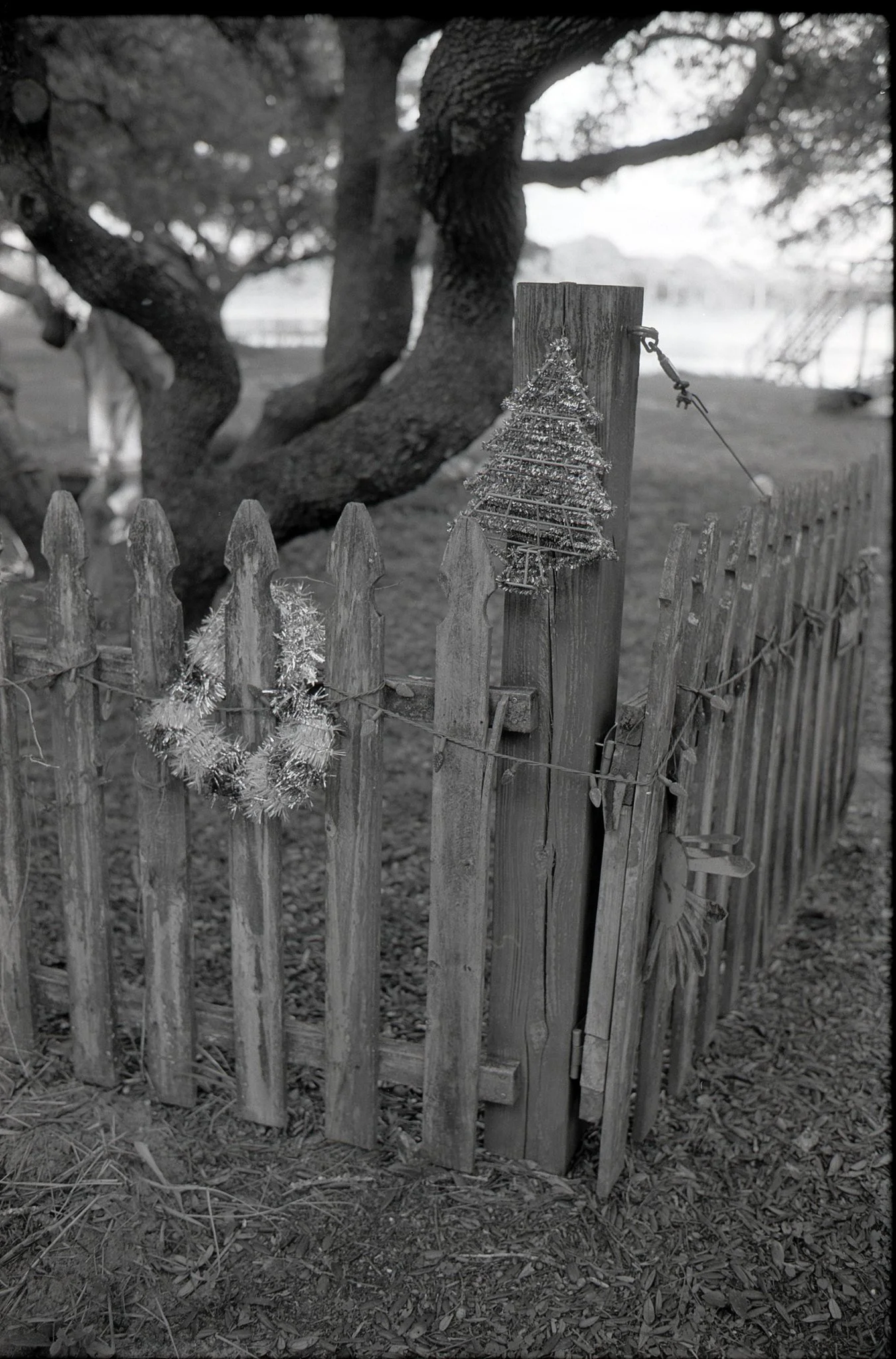 Southern Winter’s Day