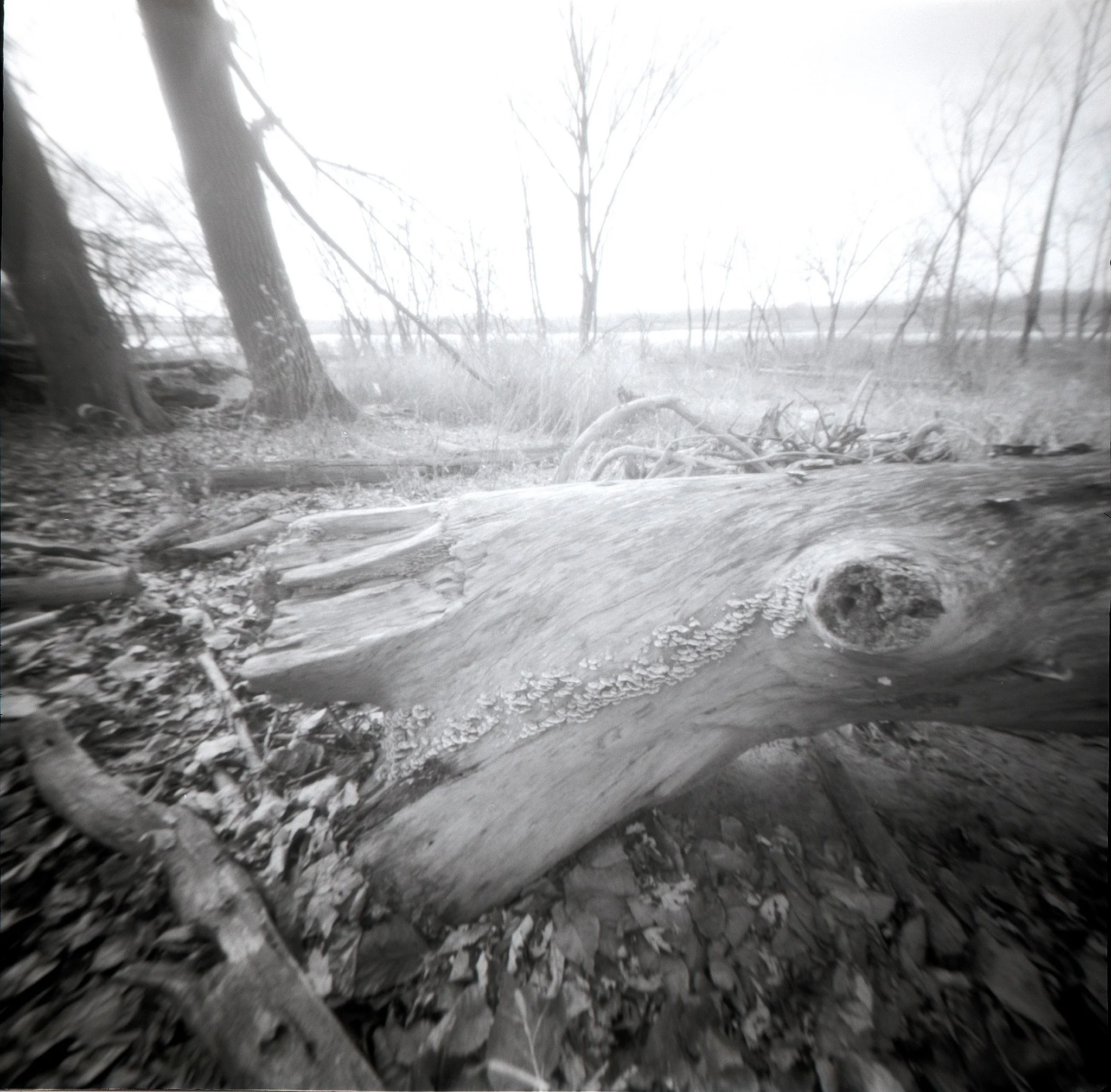 Catching the Horizon