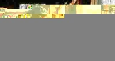 Why Every Portland Small Business Needs Professional Video Marketing in 2026