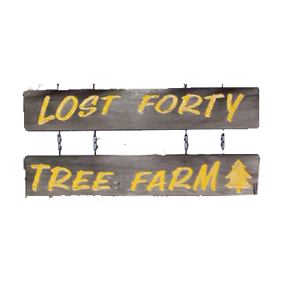 lost_forty_tree_farm.png