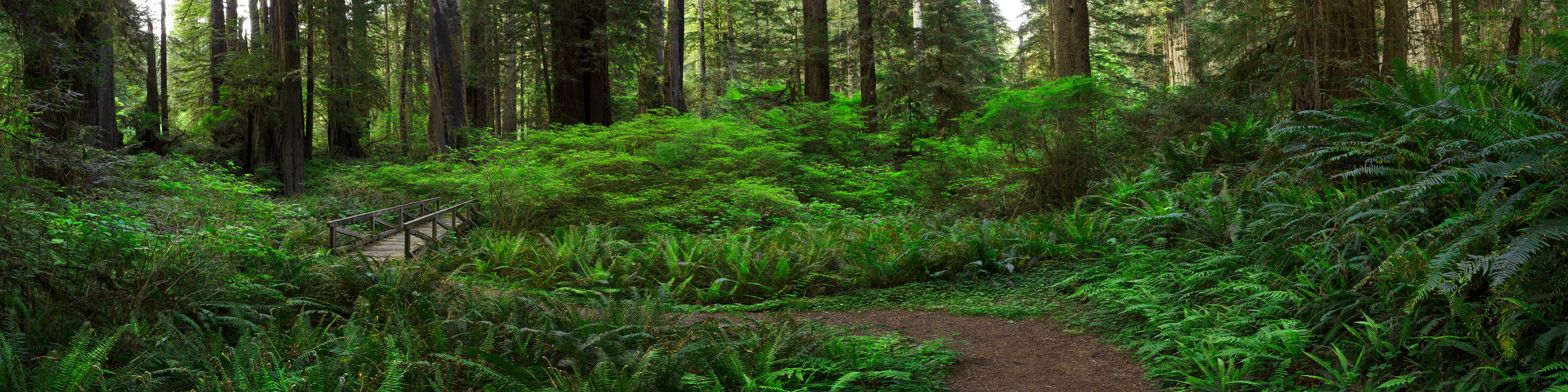 Enchantment Path