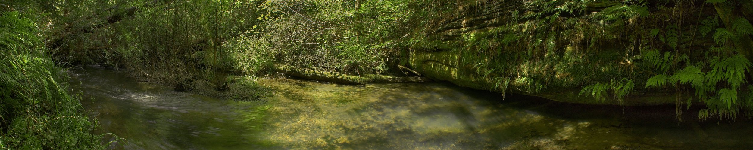 Quite Stream_B-Web 20 MB.jpeg
