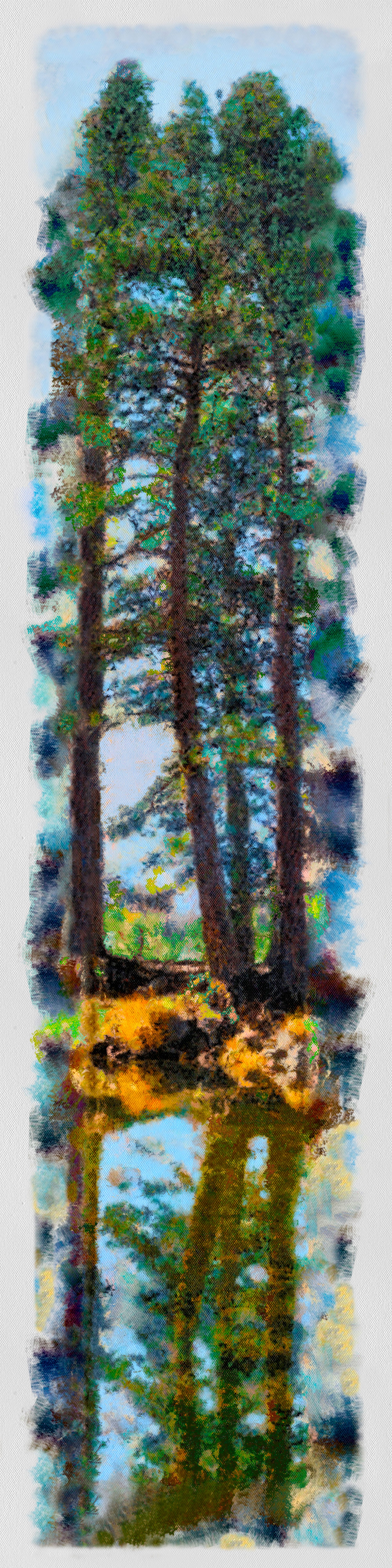 Trees on the Merced_Abstract-B1-Web.jpeg