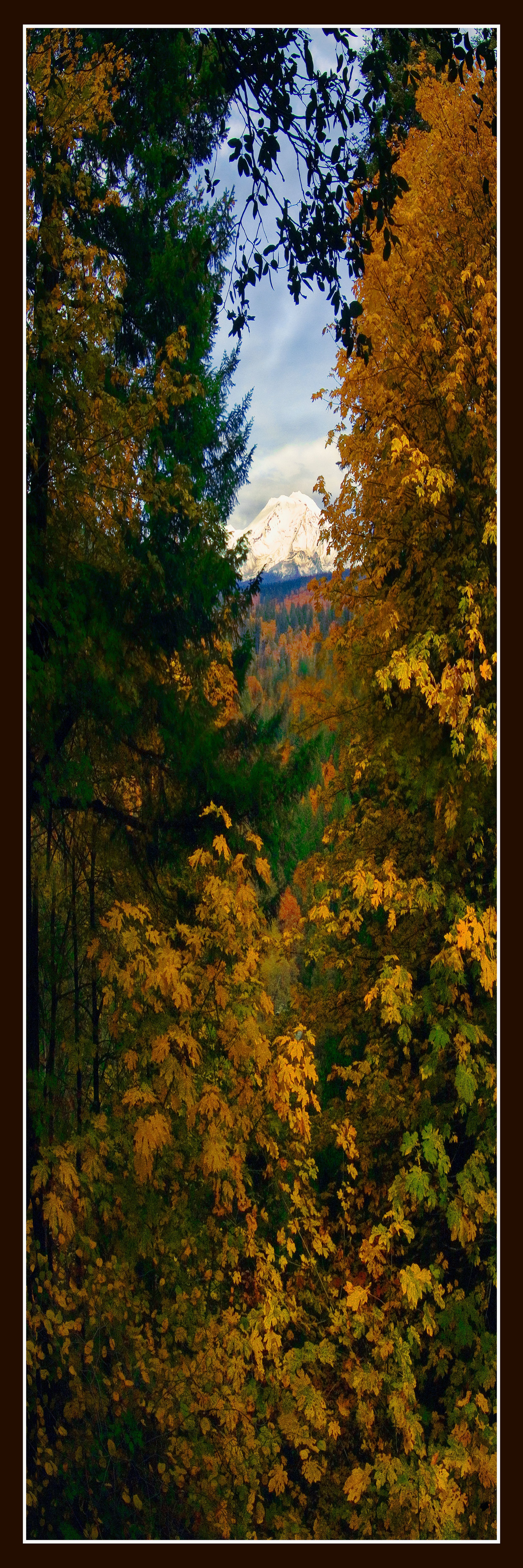 Peeking Through_A-Abstract-Web.jpeg