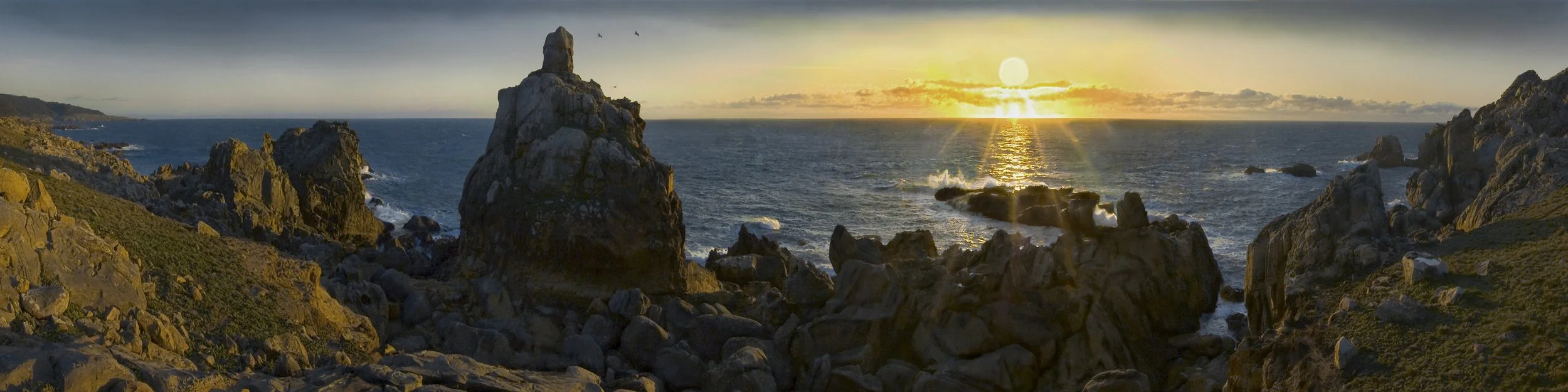 Salt Point I
