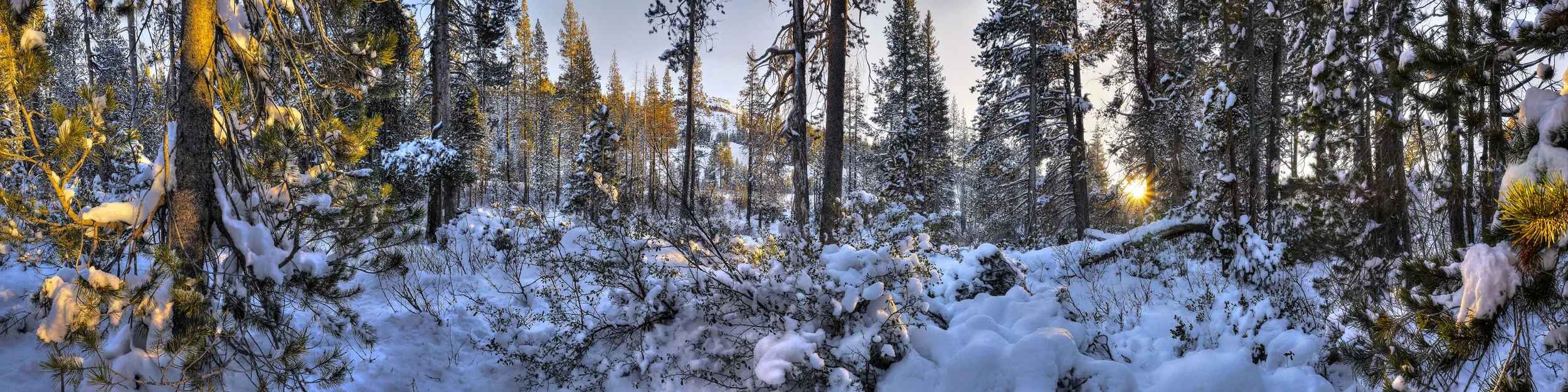 Snow Light Afternoon