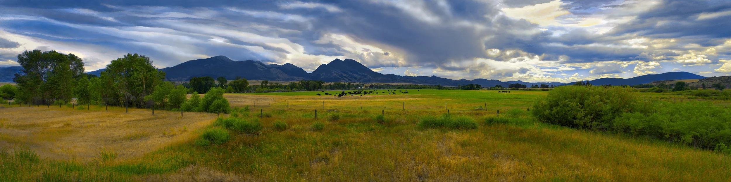 Montana Clouds